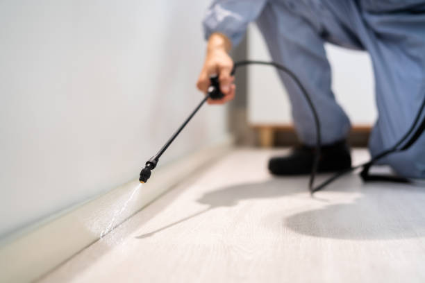 Licensed Pest Control service in Vacaville, CA - Show Me Pest Control